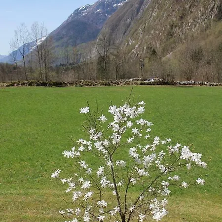 Apartma Ana * Bavsica